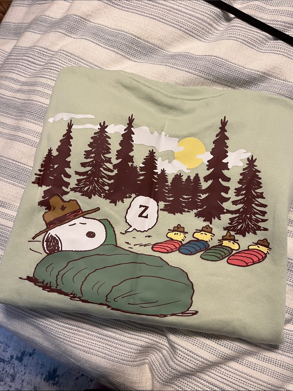 NWT Peanuts Mint Green Snoopy & Woodstock Embroidered Sweatshirt - Picture 2 of 6